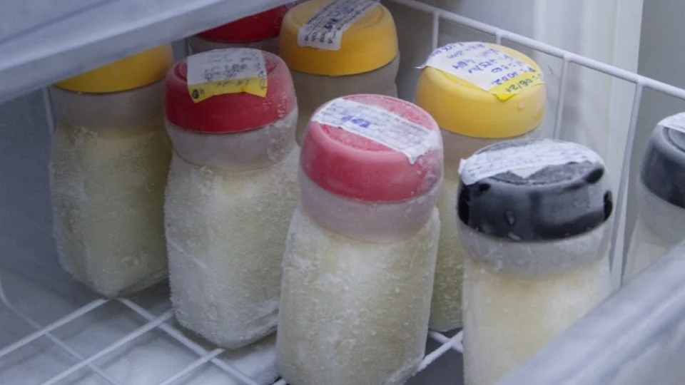 Com estoque crítico de leite materno, maternidade de Manaus pede doações