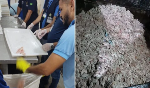 No Amazonas, frigorífico clandestino é interditado em Manacapuru 