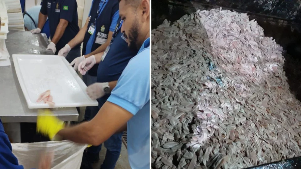 No Amazonas, frigorífico clandestino é interditado em Manacapuru 