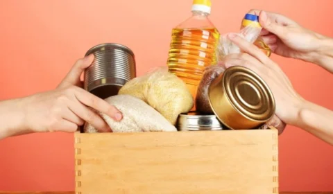 Campanha arrecada alimentos e ração para cães e gatos em Manaus