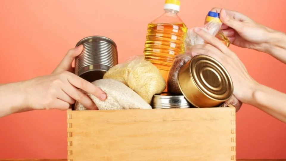 Campanha arrecada alimentos e ração para cães e gatos em Manaus