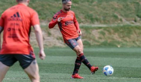 Flamengo encara América-MG neste domingo