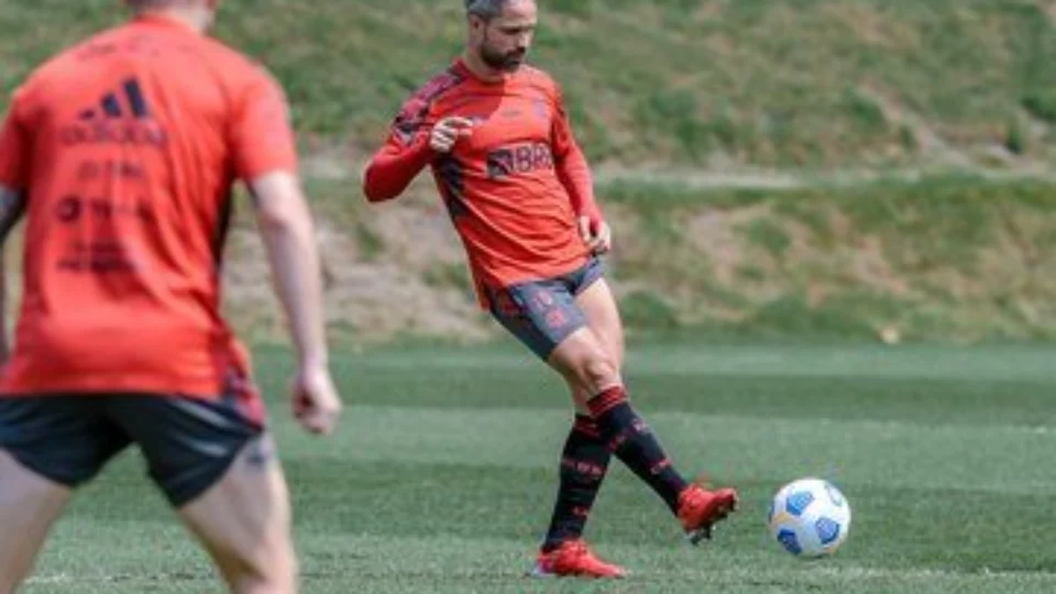 Flamengo encara América-MG neste domingo