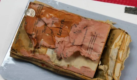 Saiba o que foi encontrado em uma cápsula do tempo de 1877, nos EUA