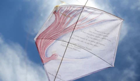 Após morte por uso de cerol, moradores planejam manifestação em Manaus