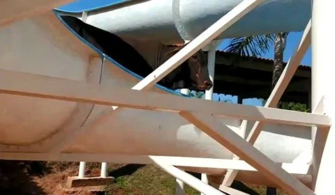 VÍDEO: Após escorregar de um tobogã, boi garrote escapa de ser abatido e ganha novo nome, em São Paulo