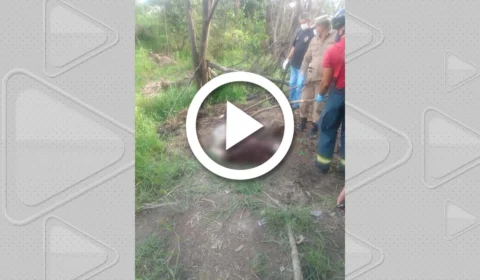 VÍDEO: corpo sem cabeça é achado em cova rasa no interior do Amazonas