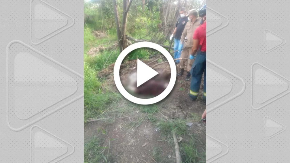 VÍDEO: corpo sem cabeça é achado em cova rasa no interior do Amazonas