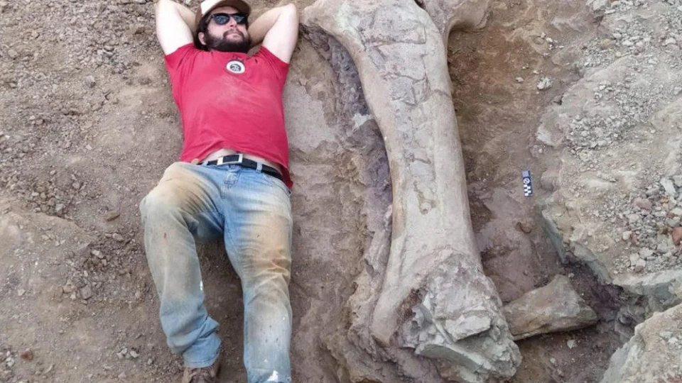 Pesquisadores investigam origem de imenso fóssil encontrado no Maranhão