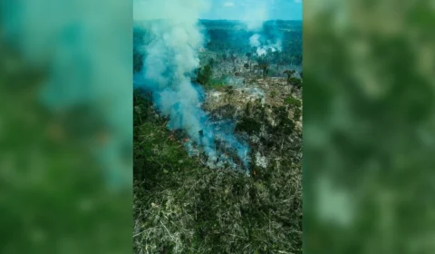 Em 3 anos, terra indígena tem 84% de desmatamento no sudoeste do Pará