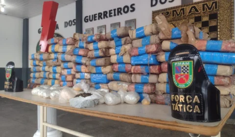 Mais de 100 kg de drogas são apreendidos dentro de buraco no bairro Zumbi