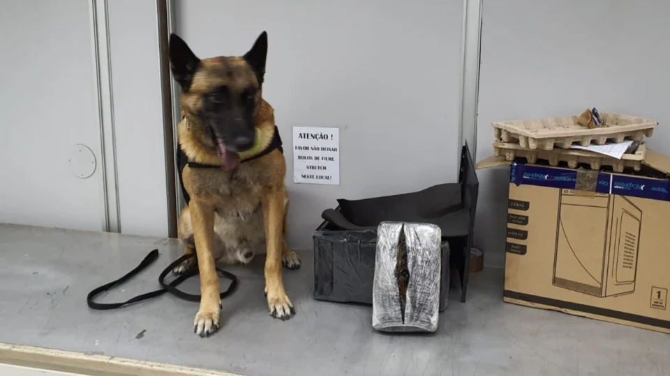 Entorpecente é encontrado dentro de CPU no Aeroporto Eduardo Gomes, em Manaus