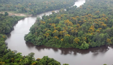 Brasil é um dos oitos países da OTCA a receber Observatório Regional Amazônico