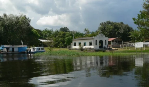 MPAM investiga desmatamento de 5.000m² em área de assentamento, no Tarumanzinho