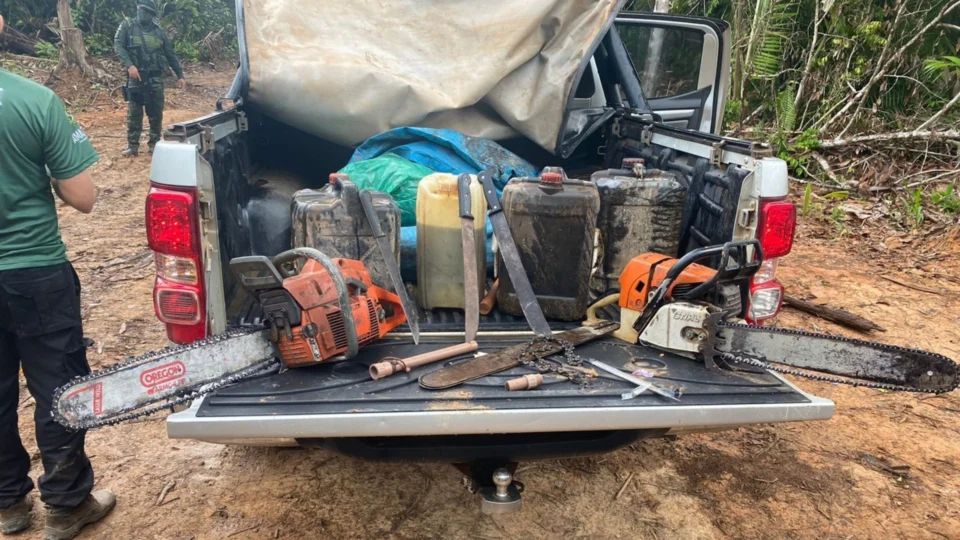 No AM, Operação Tamoiotatá prende quatro homens e apreende madeira ilegal
