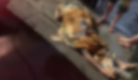 Homem é morto a tiros no bairro Compensa, Zona Oeste de Manaus