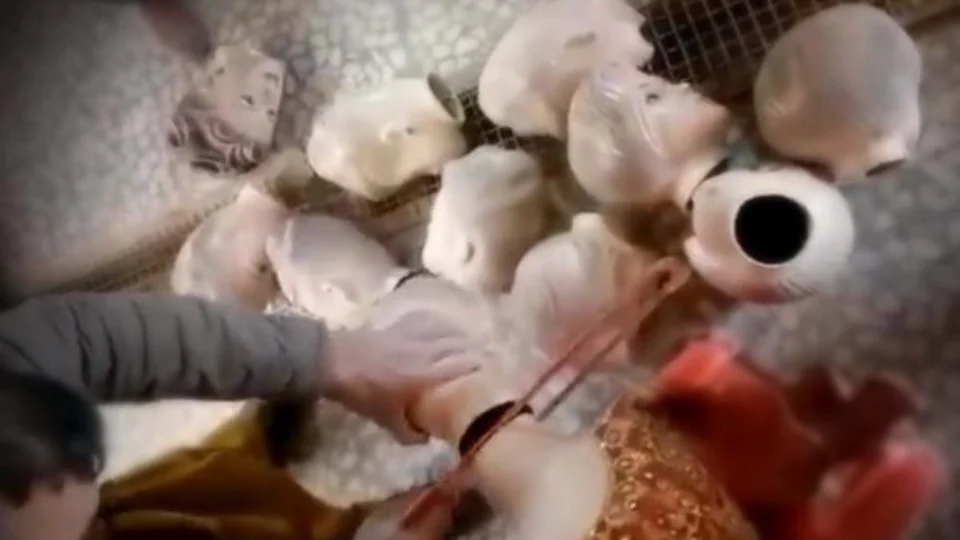 VÍDEO: Talibãs ordenam decapitação de manequins em lojas de roupas no Oeste do Afeganistão