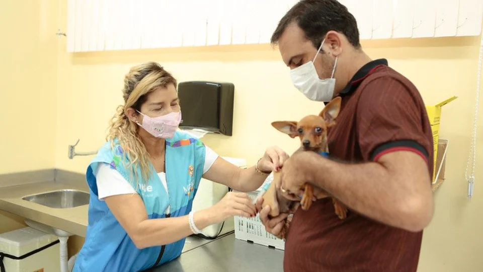 Cães e gatos das zonas Oeste e Sul de Manaus são vacinados contra raiva; veja cronograma