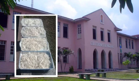 No AM, estudantes de Manacapuru produzem embalagens biodegradáveis com escama de peixes