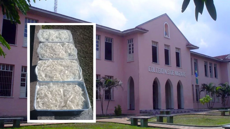 No AM, estudantes de Manacapuru produzem embalagens biodegradáveis com escama de peixes