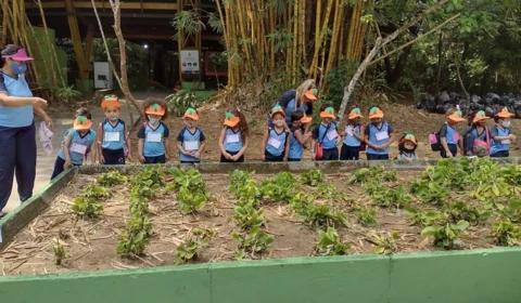 Mais de 200 estudantes participam do Dia da Árvore, no Parque do Mindu