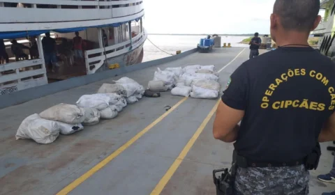 No Amazonas, homem é preso com 2,5 toneladas de pescado ilegal no rio Solimões