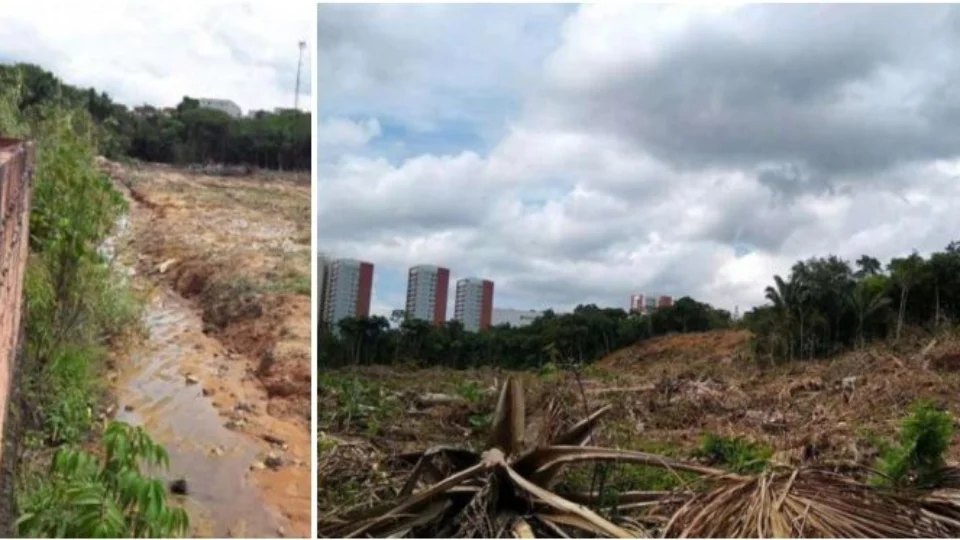 MPAM investiga desmatamento em área de preservação na Ponta Negra