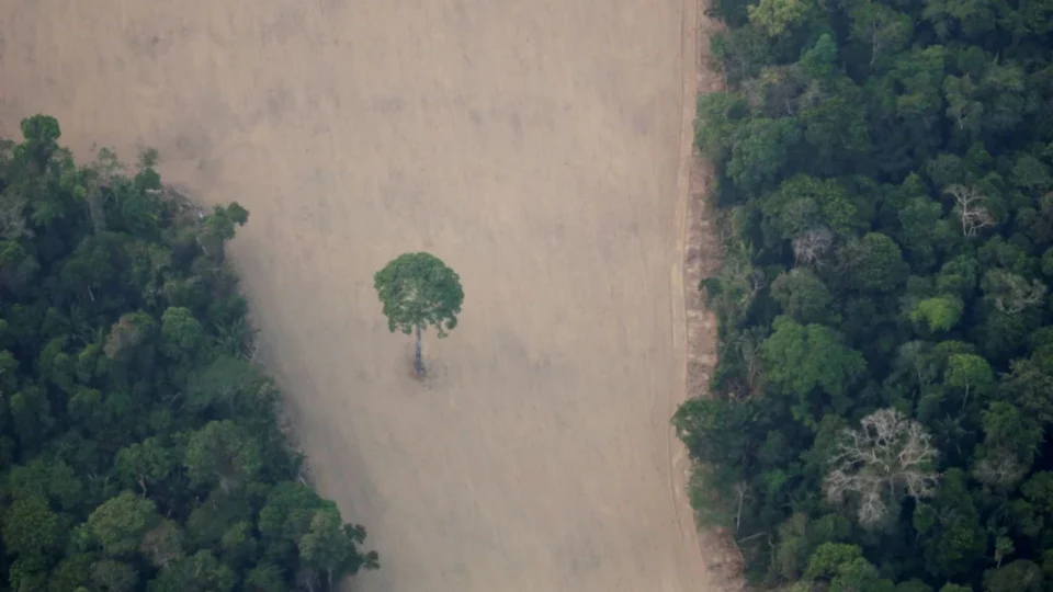 Desmatamento na Amazônia em setembro foi o pior para o mês em 10 anos, diz Imazon