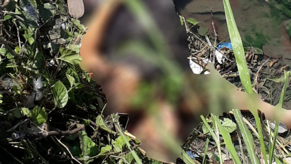 Jovem grávida é brutalmente assassinada na Zona Leste de Manaus