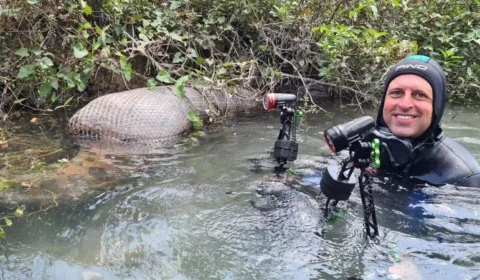 Fotógrafo registra sucuri ‘devorando’ animal em rio, no Mato Grosso do Sul