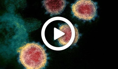 VÍDEO: Brasil já registra 5 casos da variante ômicron; outros oito casos suspeitos estão em investigação