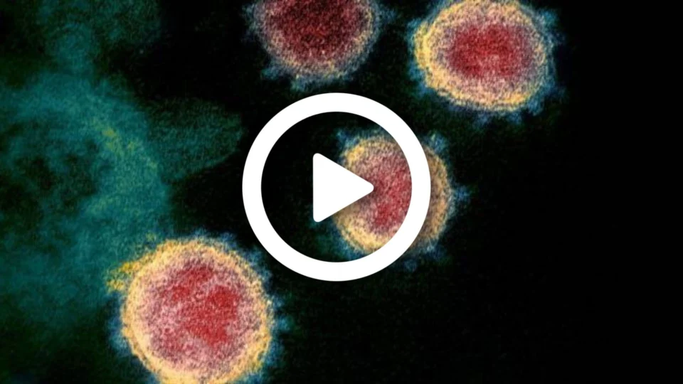 VÍDEO: Brasil já registra 5 casos da variante ômicron; outros oito casos suspeitos estão em investigação