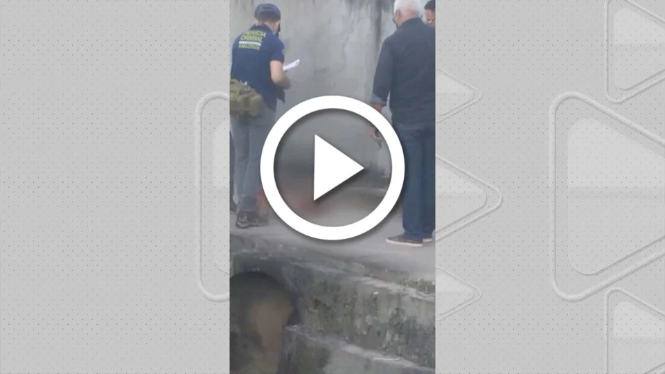 VÍDEO: cabeça de homem é encontrada em córrego na Zona Oeste de Manaus
