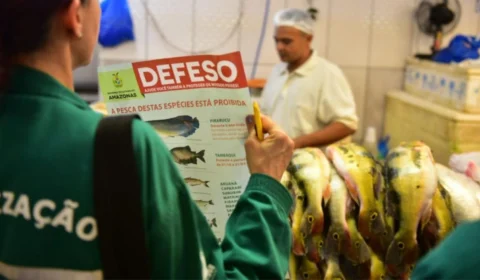 Começa na próxima segunda-feira o período de defeso no Amazonas