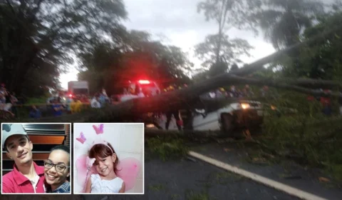 Família morre após queda de árvore sobre carro, em São Paulo