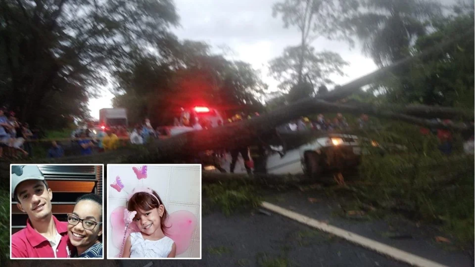 Família morre após queda de árvore sobre carro, em São Paulo