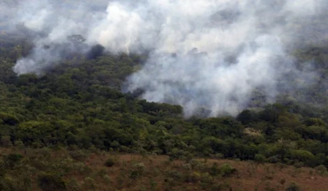 Focos de incêndio começam a ser controlados  na Chapada dos Veadeiros, em Goiás