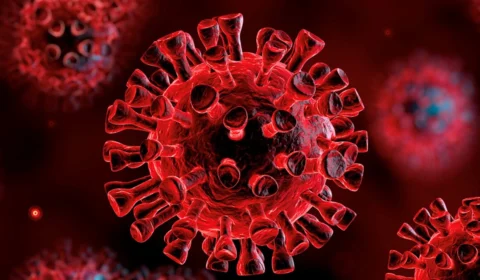 COVID: Amazonas registra 343 novas infecções nesta quinta-feira