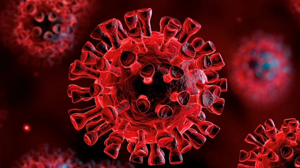 COVID: Amazonas registra 343 novas infecções nesta quinta-feira