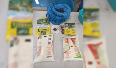 Duas mulheres são detidas por envolvimento no tráfico de drogas, em Juruá/AM