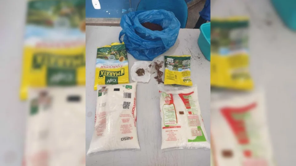 Duas mulheres são detidas por envolvimento no tráfico de drogas, em Juruá/AM