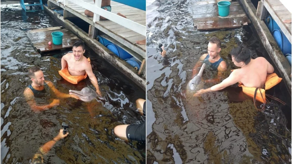 Bototerapia retoma atividades com crianças do Abrigo Moacyr Alves