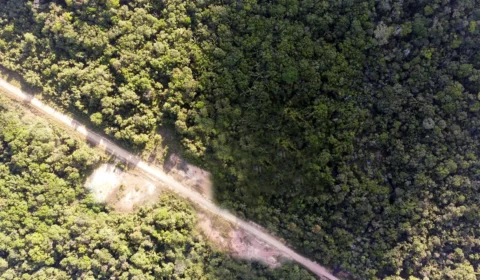 MPF recomenda suspensão de obras na BR-319