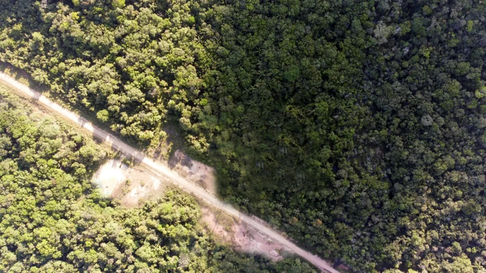 MPF recomenda suspensão de obras na BR-319