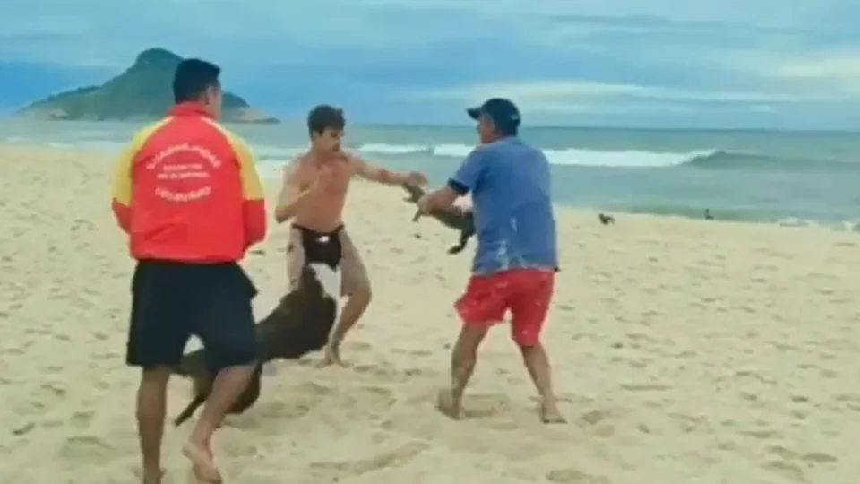 VÍDEO: Em briga na praia, homem põe jacaré para morder banhista no RJ