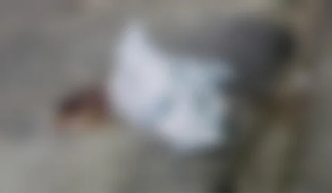 Mulher é executada a tiros quando ia comprar comida no bairro Terra Nova, Zona Norte de Manaus