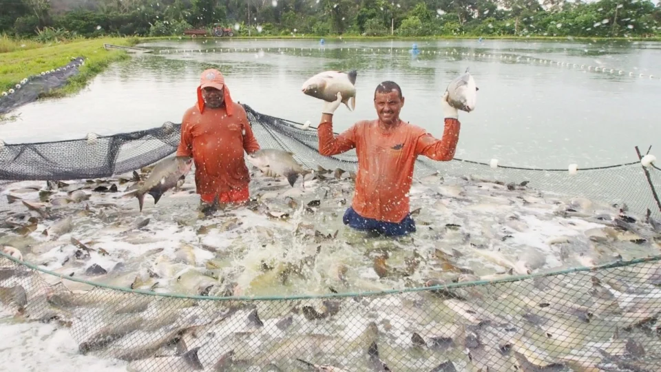 Caixa anuncia nova linha de crédito para pescadores artesanais