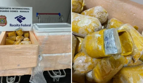 Drogas escondidas em polpa de buriti são apreendidas em aeroporto de Manaus