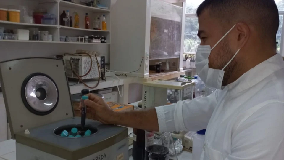 Pesquisa aponta que casca do ingá-cipó pode gerar álcool gel, no AM