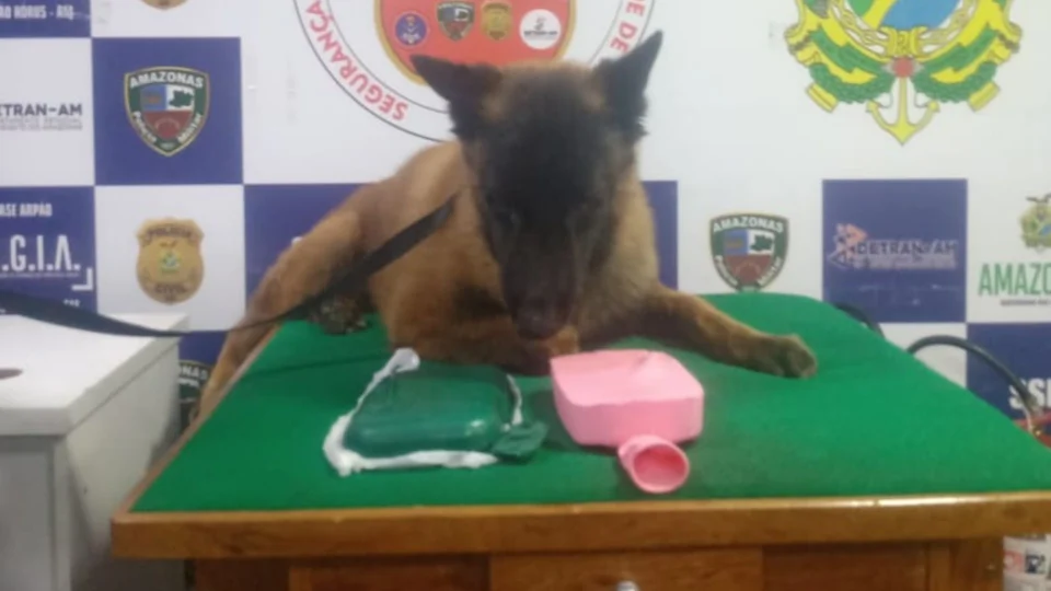 No Amazonas, cão policial encontra 2 kg de drogas dentro de embarcação no rio Solimões